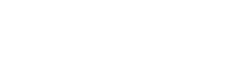 TerraFirma Professional Services